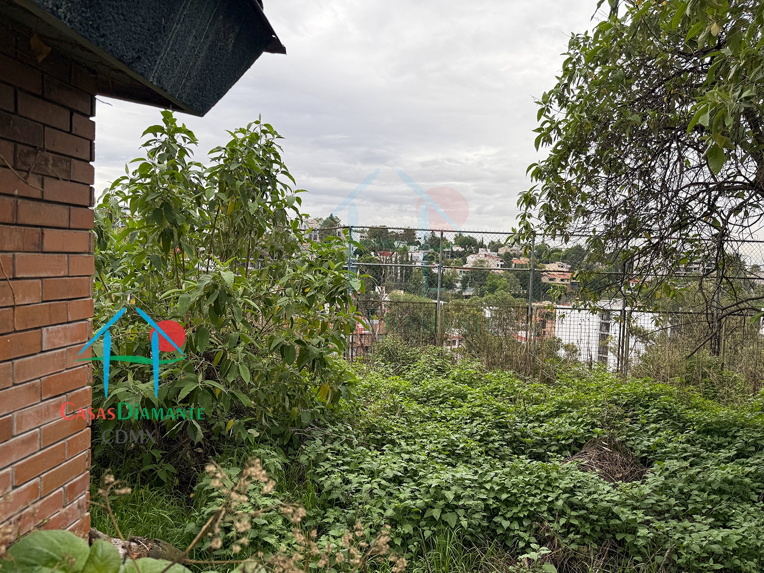 Bosques de las Lomas Terreno Jaguar BBC - Propiedad a demoler 32